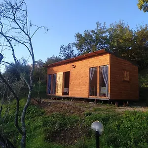 https://agricampeggio-la-casa-di-cavriglia.it-tuscanyhotel.com